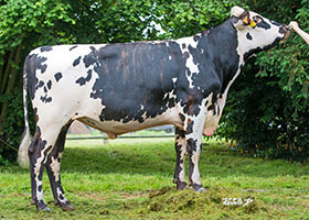 GAIAC (Virbak x Redondo)