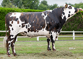 PILIER (Marvel x Bainville)