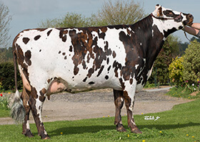 ILIERE (Bainville), mère de PILIER & MANEVILLE
