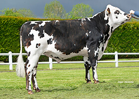 PODIUM (Montoya x Unnoel)