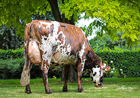 MAXI JESS (Infinity), mère de PELE GH