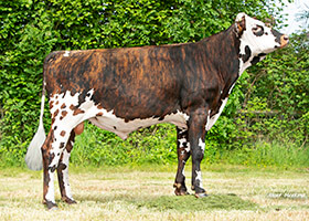 RADRADRA (Open Val x Jesse PC)