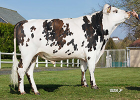 PASSWORD (Mille DT x Folden)