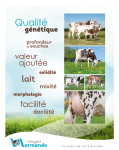 Image représentant les valeurs d'Origen Normande