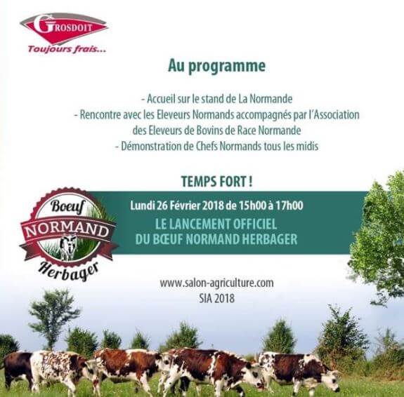affiche du lancement du boeuf normand herbager