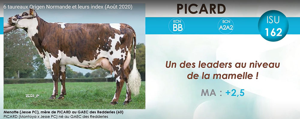 Capture de notre vidéo sur l'indexation d'août 2020