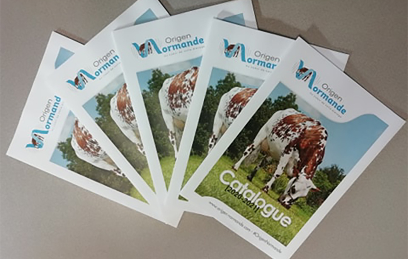Des catalogues Origen Normande 2020 - 2021 présentés sur un bureau