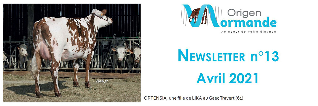 Bandeau de la newsletter n°13 d'avril 2021