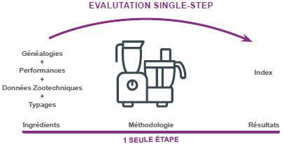 Schéma présentant le Single Step